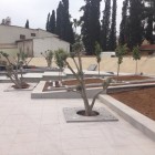 Northern Cyprus Presidential Palace - Under Construction (3/6)